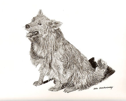 Yellow-Dog-Drawing